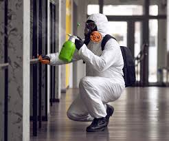 Why You Should Choose Our Mold Remediation Services in Lakewood, CA